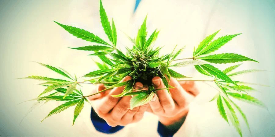 Order High-Potency Relief Oils: Medical THC Cannabis Oil Delivered