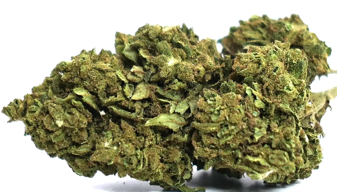 Buy Marijuana Online Europe – Premium THC & CBD Weed Strains Available