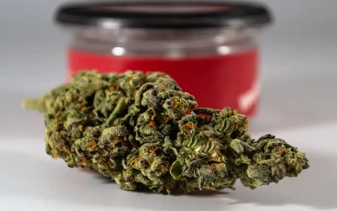 THC Edibles for Sale Australia – Research on Legal THC Edibles