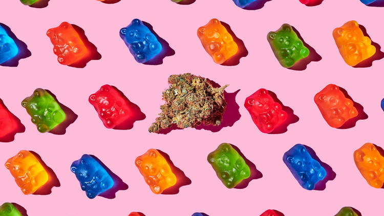 Europe’s Best Treats at Euro Weed Clinic – Cannabis Gummies for sale Europe
